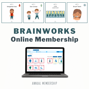 BrainWorks Online Membership Options