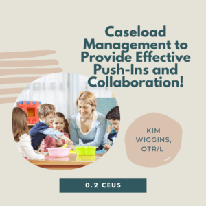 Caseload Management to Provide Effective Push-Ins and Collaboration!