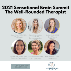 2021 Sensational Brain Summit: The Well-Rounded Therapist