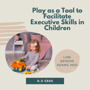 Child playing with toys, promoting play as a tool for children's executive skills development. Event by Lori Benson Adams.